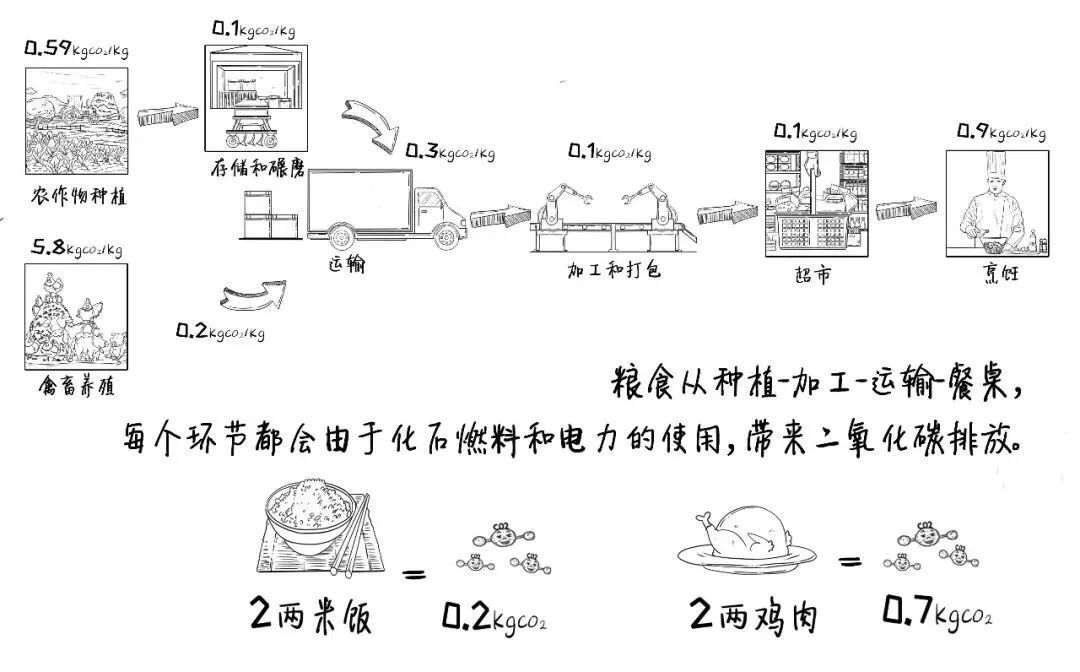 如何迈向个人碳中和？|科普漫画 | a8376