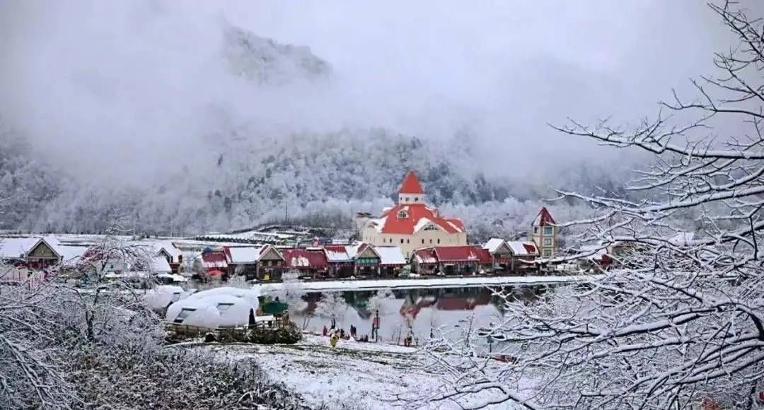 谷爱凌|“热”雪四川｜“川”越300亿冰雪产业产值 四川驶入冰雪运动“黄金赛道”