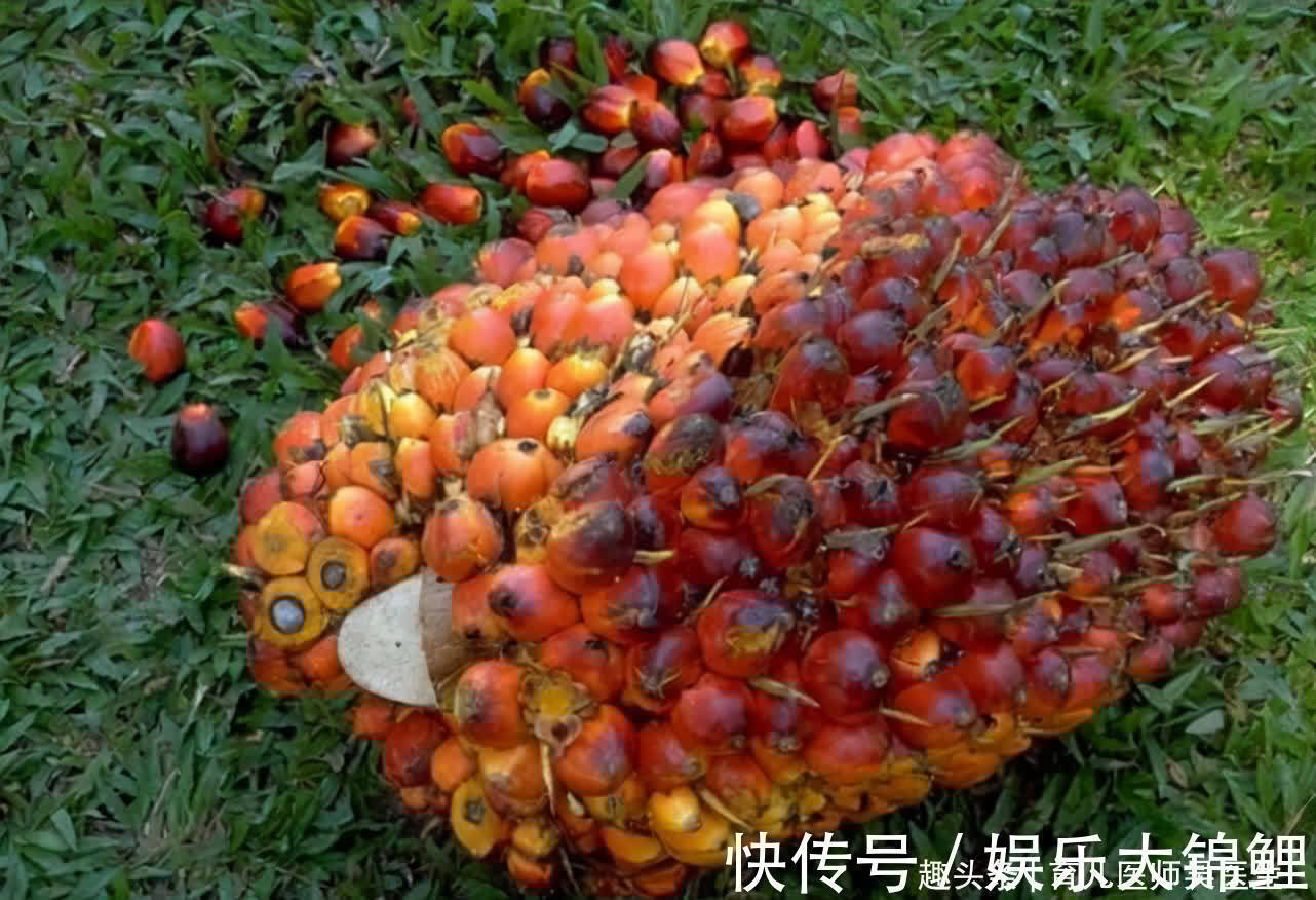 延缓衰老|人到中年,推荐吃好的食物,排毒润肤,延缓衰老,清体垃圾和毒素