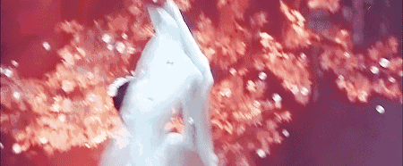 美人|骨相美和皮相美,区别在哪里?