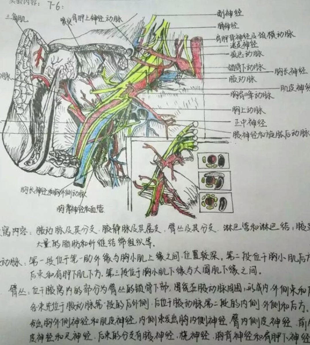 考研笔记被“疯抢”，这也太有才了！