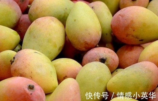芒果|芒果很好吃,但也要掌握正确的挑选方法,快速得到高质量芒果