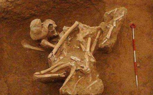 场面|考古队挖开秦始皇女儿墓,场面令人倒吸一口凉气,专家:胡亥真狠