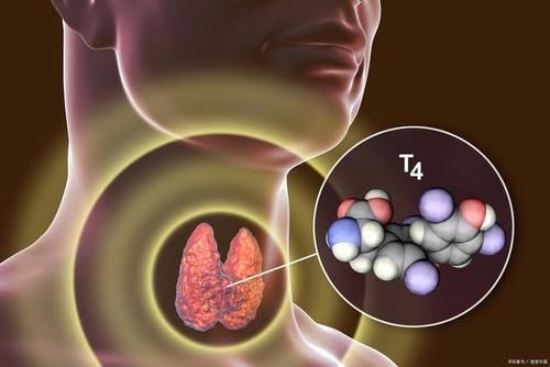 甲状腺结节病人应该怎么吃？改善甲状腺结节有哪些秘方？