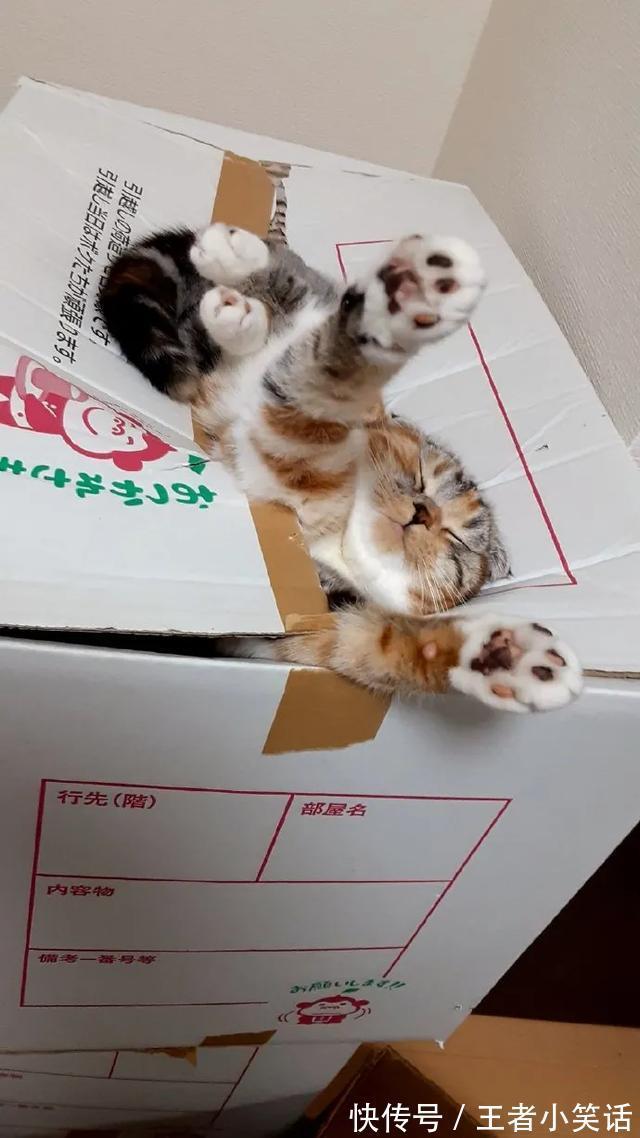 |「被窝段子0925」发脾气 只表示您的智慧不足以解决您所面临的问题