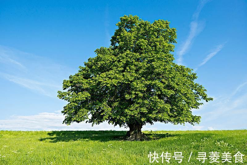 担柴汉|让心静下来的50首禅诗,哪一句触动了你