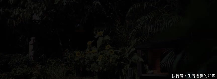 大概是最简单且颜值最高的棒冰教程!