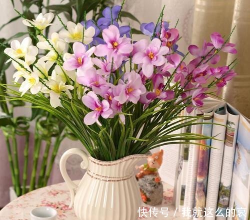 它平时看着似野草,一开花真惊人,花色艳丽花香重名叫“香雪兰”!