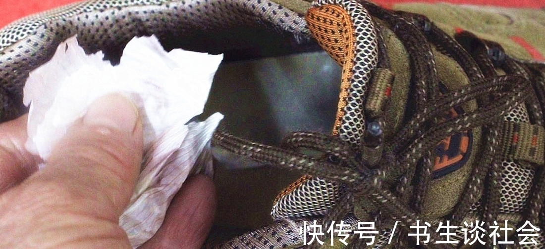 杀菌|大蒜皮是好宝贝，别再扔掉了，教您大蒜皮的3个用法，简单实用