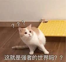 树木|日本网友发现野生奥利奥,这年头饼干都能从树上长出来了