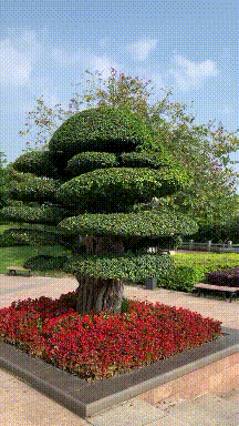 |搞笑GIF趣图:车头都翘起来了还能开,果然高手都是在民间!