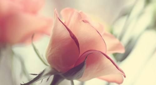 阳光|愿你的生命里能够,出现一个如阳光般温暖的人