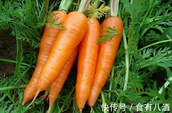 长颈鹿|13个冷知识，可以使人感到有趣，但却没有地方能够使用的奇怪知识