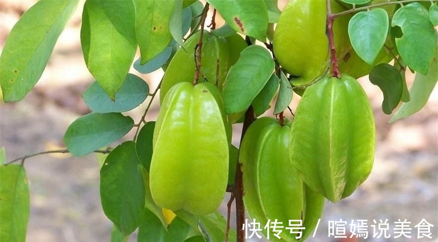 杨桃|女性不想脸生黑斑,不妨常吃3物,消暑降温、排毒消脂,早吃健康