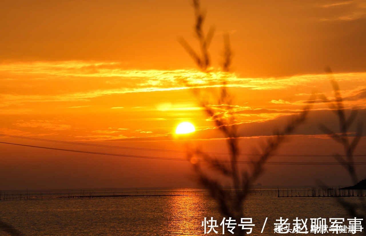 乐启生|48岁确诊乳腺癌晚期,从逃避到重生,8年时间她总结出抗癌秘诀