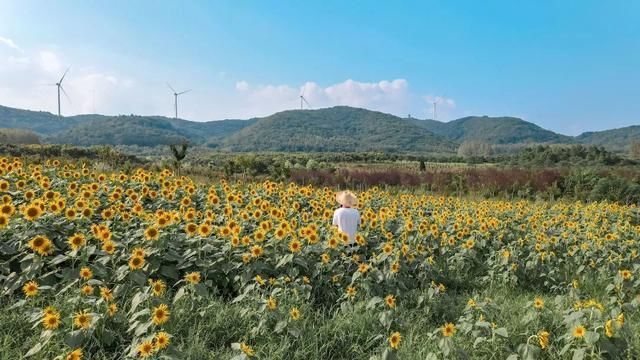 代金券|宫崎骏动漫“同款”!快来滁州这里打卡!