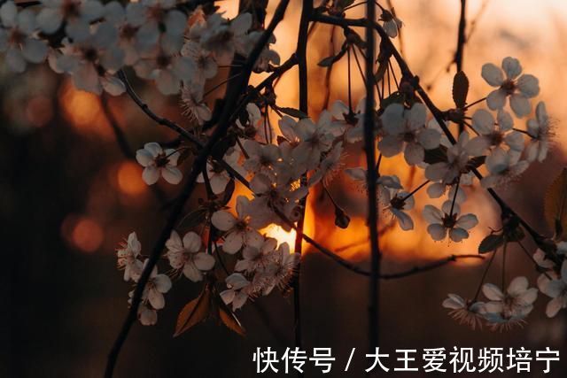 空青#韩愈很深情的一首诗,写在去潮州的路上,短短4句感人至深