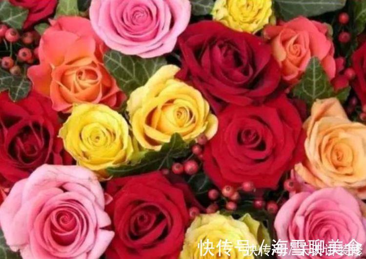 几种花期最长的花卉,一年四季开不停,每天都有花赏