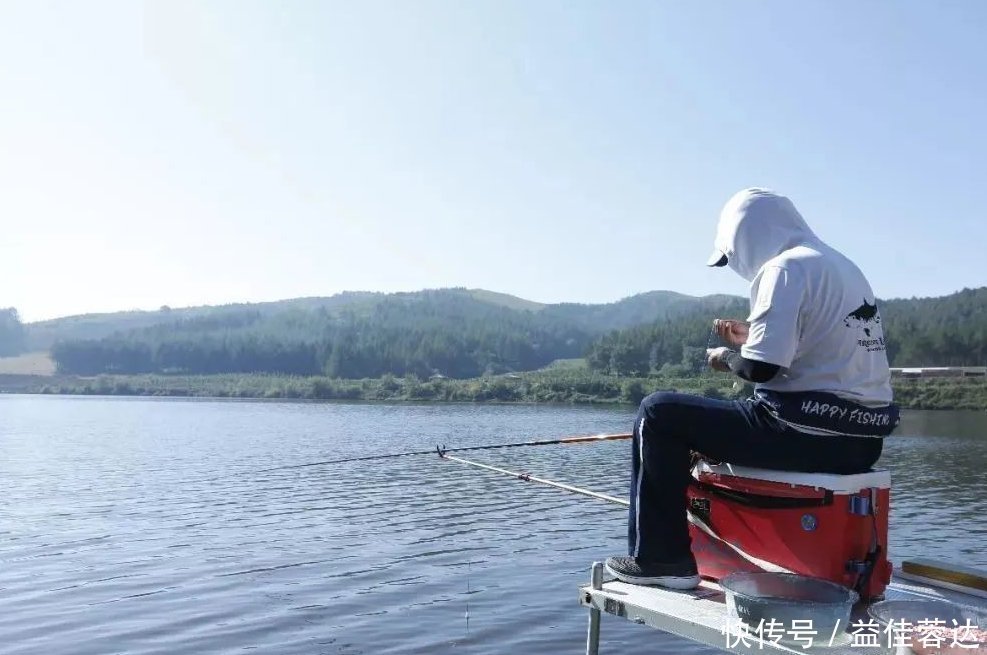 钓者|老钓手分享可以加快钓到大鲤鱼速度的方法,可以轻松搞定大鲤鱼!