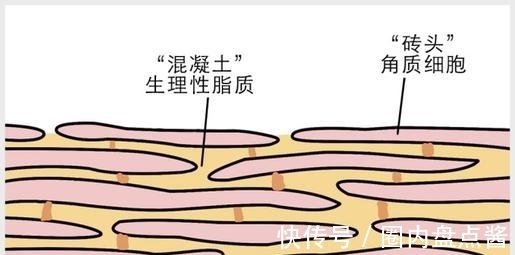 miya 护肤品不是吸收了才有用!吸收越好的护肤品风险越高,警惕