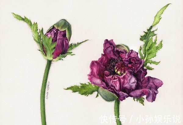 花卉#一位全职妈妈喜欢疯狂画画，教你画水彩花卉