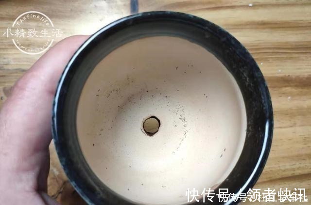 肉肉|养多肉要会控水,注意6点,1个小技巧,肉肉不用施肥也很胖!