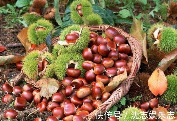 养气|人到中年要长寿,坚持多吃3种食物,补血养气、延缓衰老