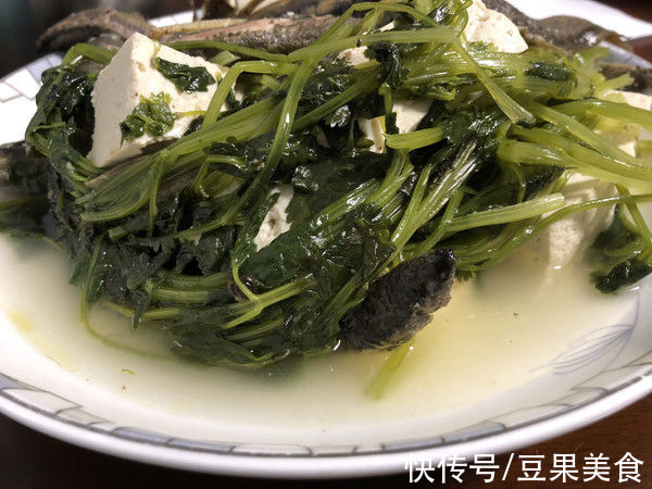 老豆腐|泥鳅豆腐汤