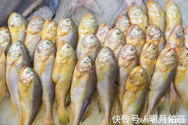 营养|它常被错认成黄花鱼，但要比黄花鱼营养美味，却没有几人知道