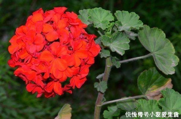 福气|俗话说:多说多错,少说少错,想要一生命好福气大,别说4种话!