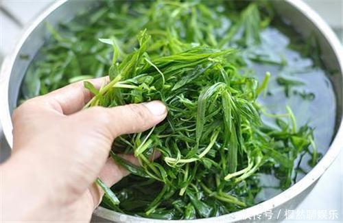 清热|七月,这个野菜随处可见,清热去暑降血压,不懂的人把它当草