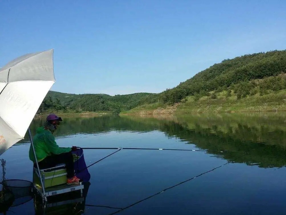 入秋后鱼不开口，只需这样处理，鱼群疯狂聚集！