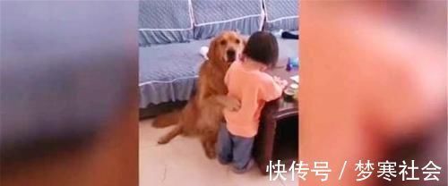 求生欲|孩子犯错后的反应,真是“求生欲”太强了,父母看后转怒为笑