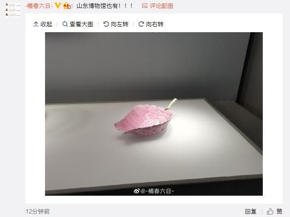  粉彩牡丹花|原来古人也用吸管，那“禁塑”后的海南用什么吸管呢？