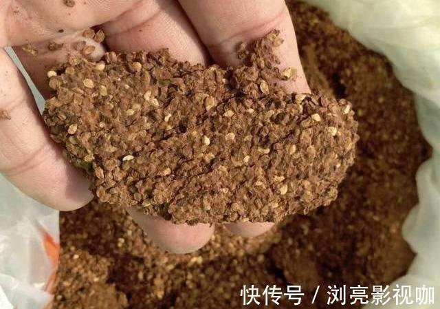 比例|养花施肥“老三样”，掐准时间，看准比例，养一盆爆一盆