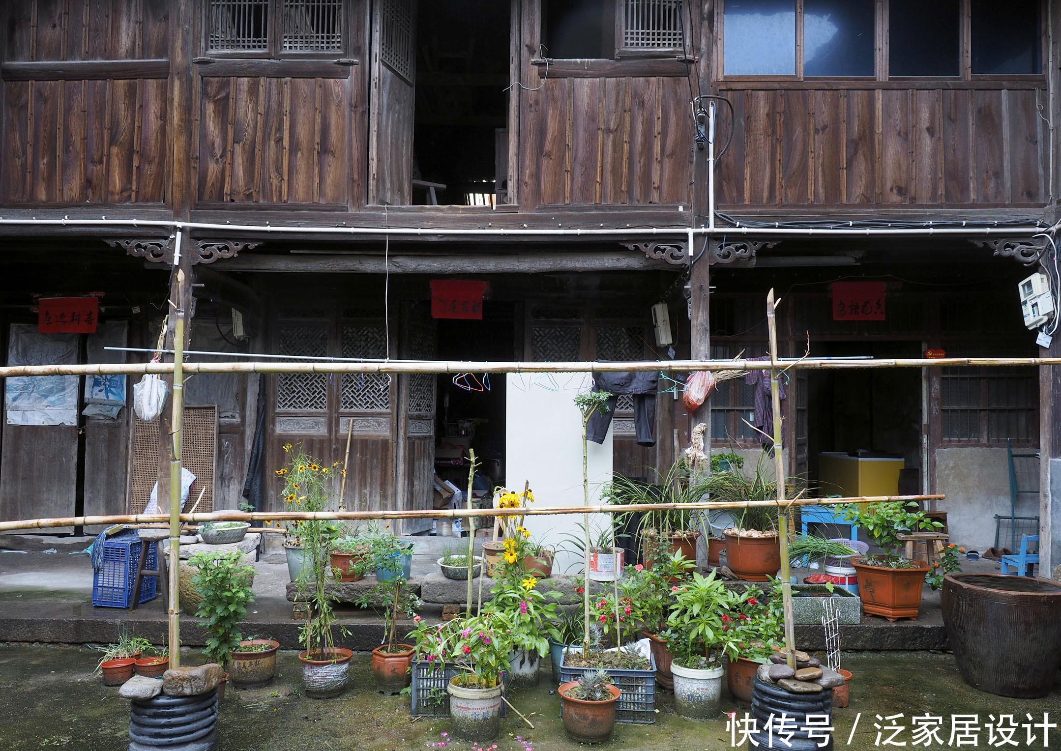 养花的6个“误区”，很多人都不自知，难怪养不好花