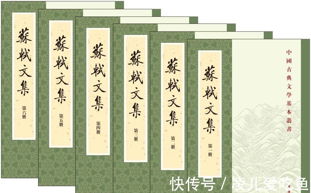 苏轼诗集!最受欢迎的20种苏东坡主题图书揭晓|伯鸿书香奖