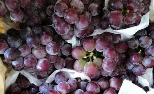 青葡萄|洗葡萄时,有人用盐,有人用面!老果农:都不对,教您最正确做法