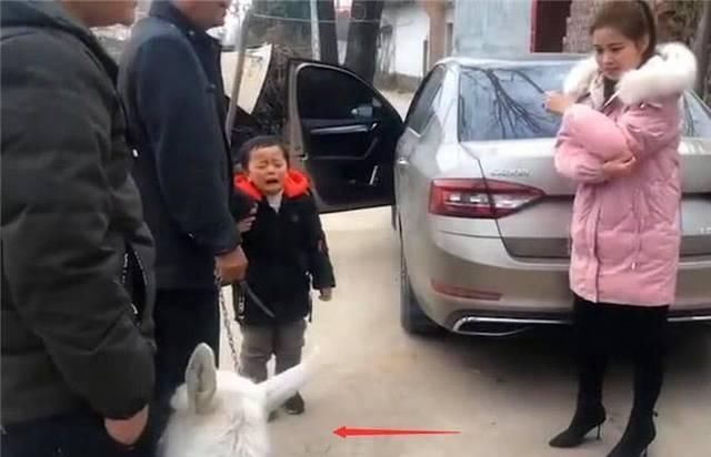 外甥来一趟家里,非要把羊给牵回家,舅舅无奈我有什么办法呢