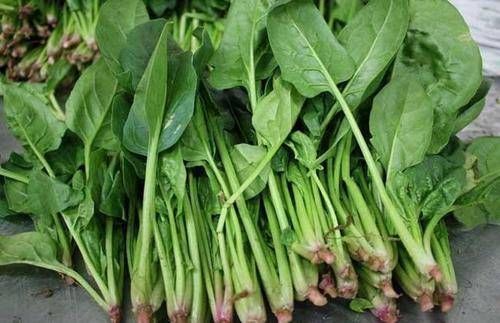 参试者|人到中年少吃肉,多吃这几种食物,营养高价格实惠,身体更强壮