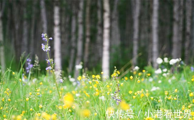 京北|中国避暑的首选目的地，自驾爱好者的天堂，一路风景如画