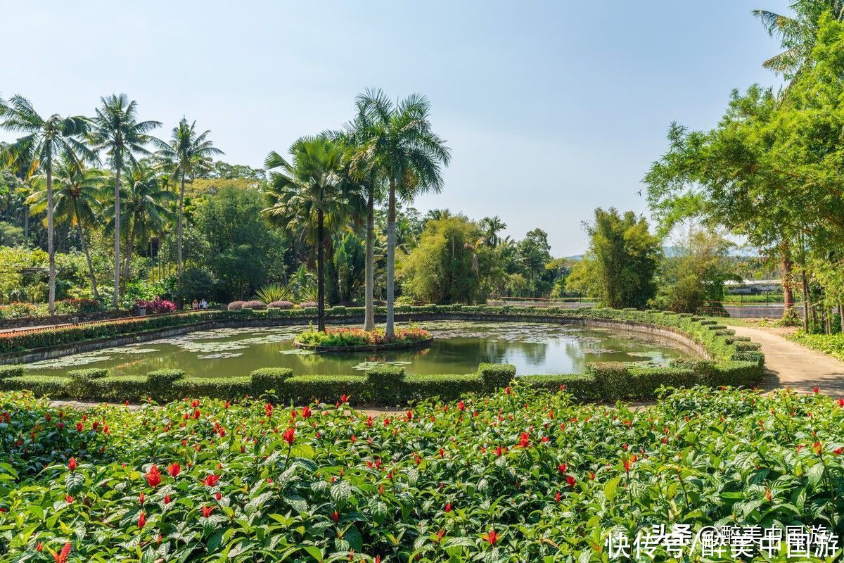 奇花异草|这3处亲子游景点，是当地最具代表性的休闲胜地，有趣好玩