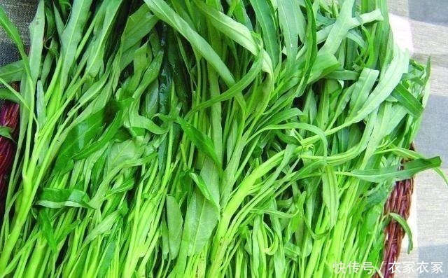 洗肠草|这菜是天然“洗肠草”,常吃去油解腻、润肠通便,贵点也要舍得