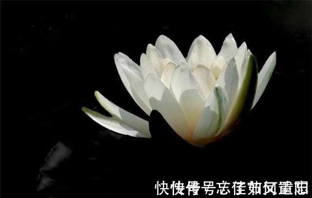 曾国藩&真正聪明的人,有三不说,越是不说,越能积德积福