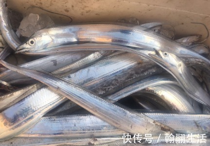 袋装|买带鱼，“袋装”的好还是“散装”的好买错难吃，没营养还浪费