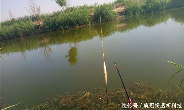 步骤|调个漂要半天按照步骤来,简单快速,肯定错不了