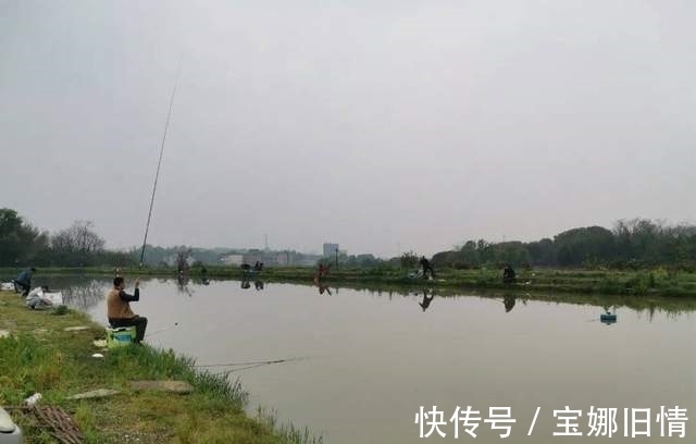 只要这么做,偷驴也能快速聚鱼、快速发窝