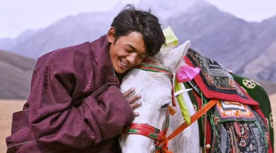 老师|丁真、马保国、凡尔赛文学可写进作文里?语文老师你是认真的吗?