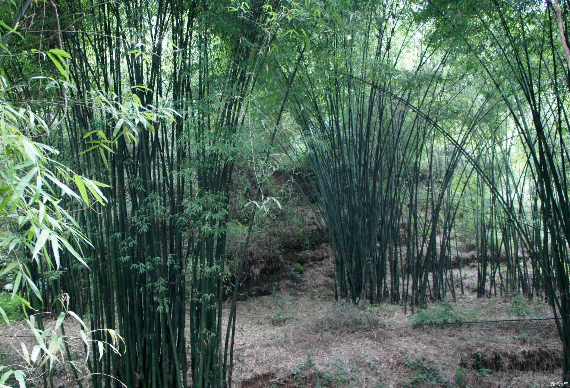 湖似妆镜，山如眉黛