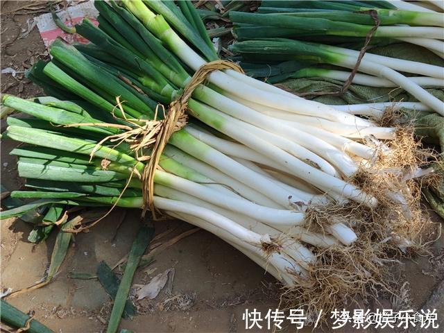 保存大葱挺简单，不干瘪不空心，囤20斤吃一冬，随吃随取很方便